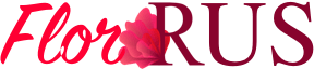 Доставка цветов Коркино